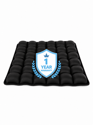 1 Year Warranty